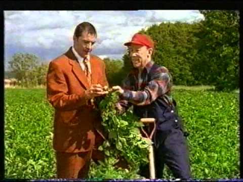 OLW:  Svenska naturchips (1997)