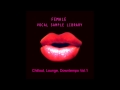 Female Vocal Chillout Lounge Downtempo Sample ...