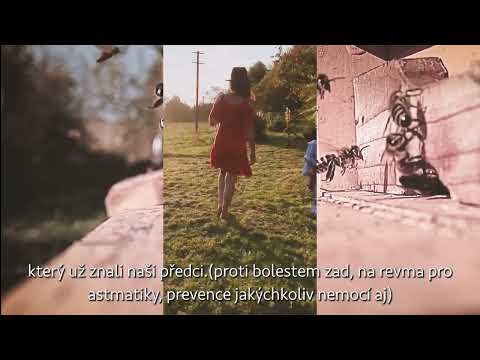 Staňte se součástí VČELÍHO CHRÁMU v Bílých Karpatech