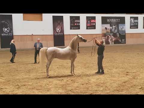 Lissar and Kim a fantastic team