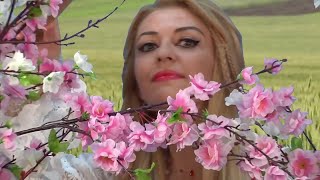 Download lagu LORENNA - FLORILE DE PE CAMPIE 2015 manea veche mp3