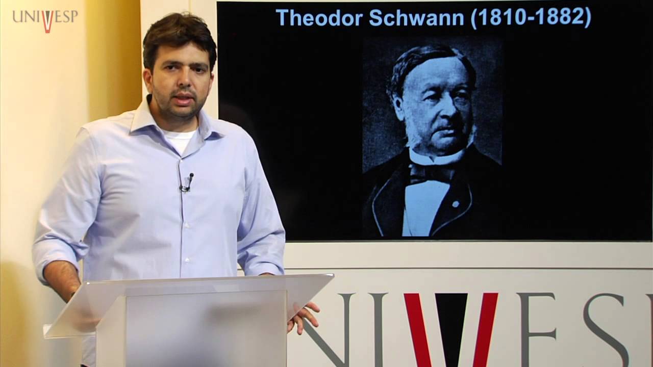 Biologia Geral - Aula 22 - Níveis de organização dos seres vivos: a teoria celular