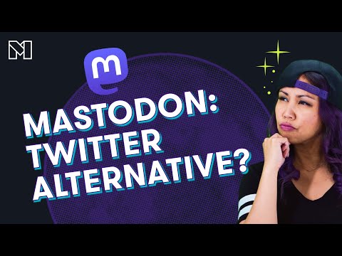 Twitter vs. Mastodon (+ a Better Alternative) | Mighty Networks