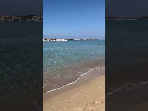 Cypru’s zorba 🇬🇷in Venus Beach! #cyprus #greece #zorba #kypro #travel #explore #wolrd #sea #venus