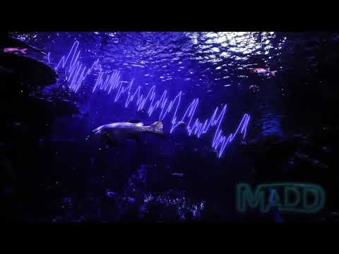 Scooter vs Jetfire - How Much Is The Fish (DJ KUBA & NEITAN Edit) (MADD Hard Kick Edit)