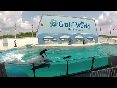 Florida Trip 2015, Gopro Edit
