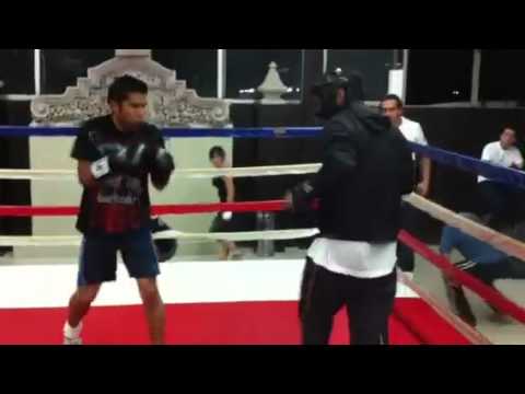 Box spqr Edgar vs Pepe