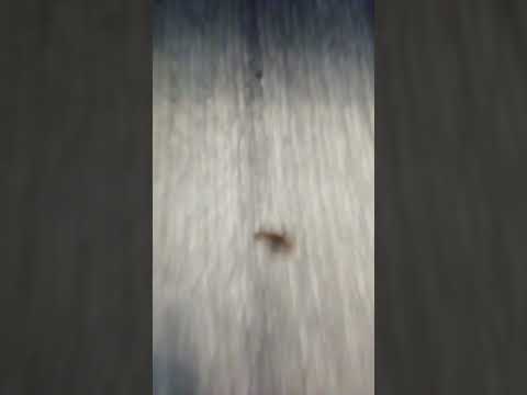 Econo Lodge - My review is the hopefully get the attention of other people... - Image 2