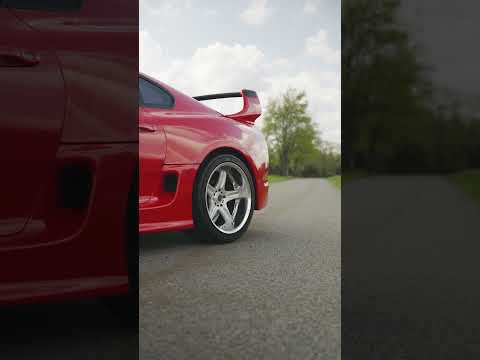 Sunny Supra Days ahhhhhh⁠