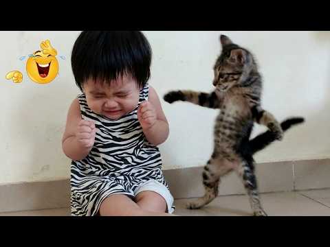 You Won’t Stop Laughing 😂 Funniest Pets Compilation 🐱🐶 Hilarious Animal Moments