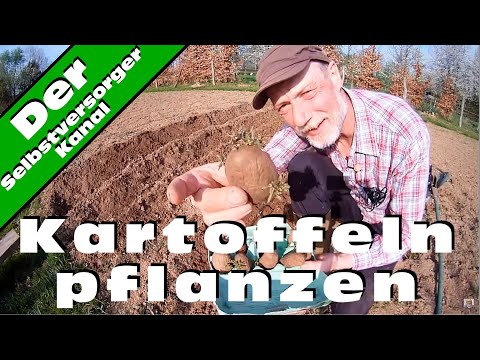 , title : 'Kartoffeln pflanzen'