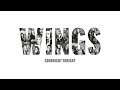 Wings - Goodnight Tonight (Audio)