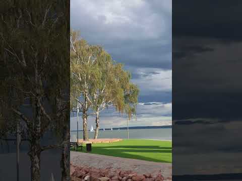 Jürgen Gewehr-Pedigt:                             Der Sieg des Lebens über den Tod