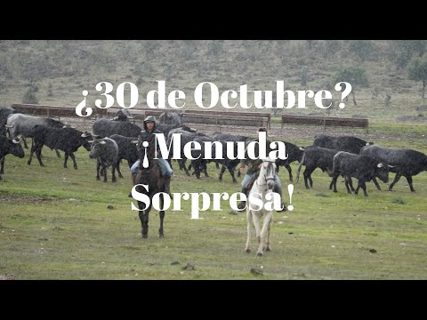 🛑¿30 DE OCTUBRE? ¡FUE DÍA SORPRESA!