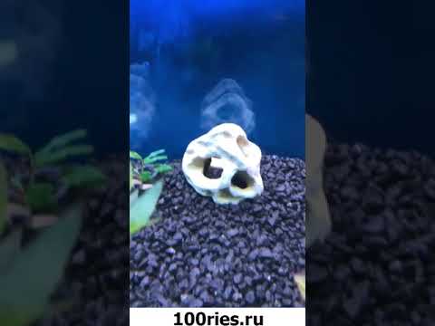 Сергей Пынзарь Инстаграм Сторис 07 июня 2019