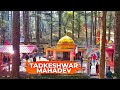 Tadkeshwar Mahadev Maha Shivratri Celebration Lansdowne Uttarakhand