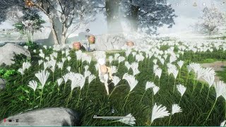 風燕伝　Where Winds Meet　伊刀と戦う！