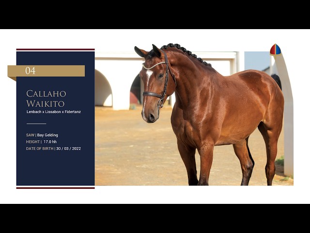 Callaho Waikito