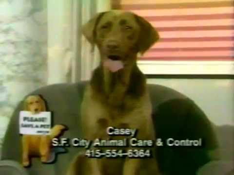 TV-20 KOFY Dog Casey 1992