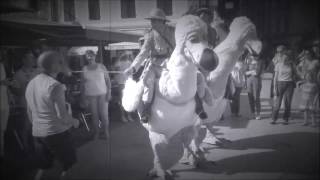 Afozic, Aperçu Vidéo