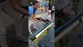 Download lagu Ikan Dewa (Ikan Keramat Jelmaan Prajurit Prabu Siliwangi), Cibulan Kuningan mp3