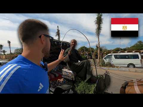 Abzocker an jeder Ecke - Die Realität als Tourist in Ägypten (Luxor)