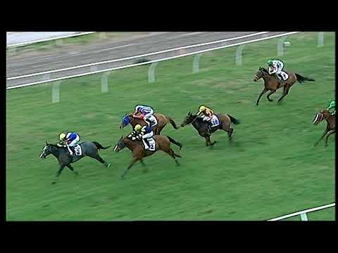 Napoli Galoppo 27/12/2021 - 5ª corsa - TRIS