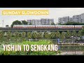 YISHUN TO SENGKANG ORTO LIVE TURTLE AND TORTOISE MUSEUM SENGKANG PUBLIC LIBRARY