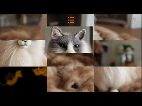Puzzle: Woolen cats toys Video