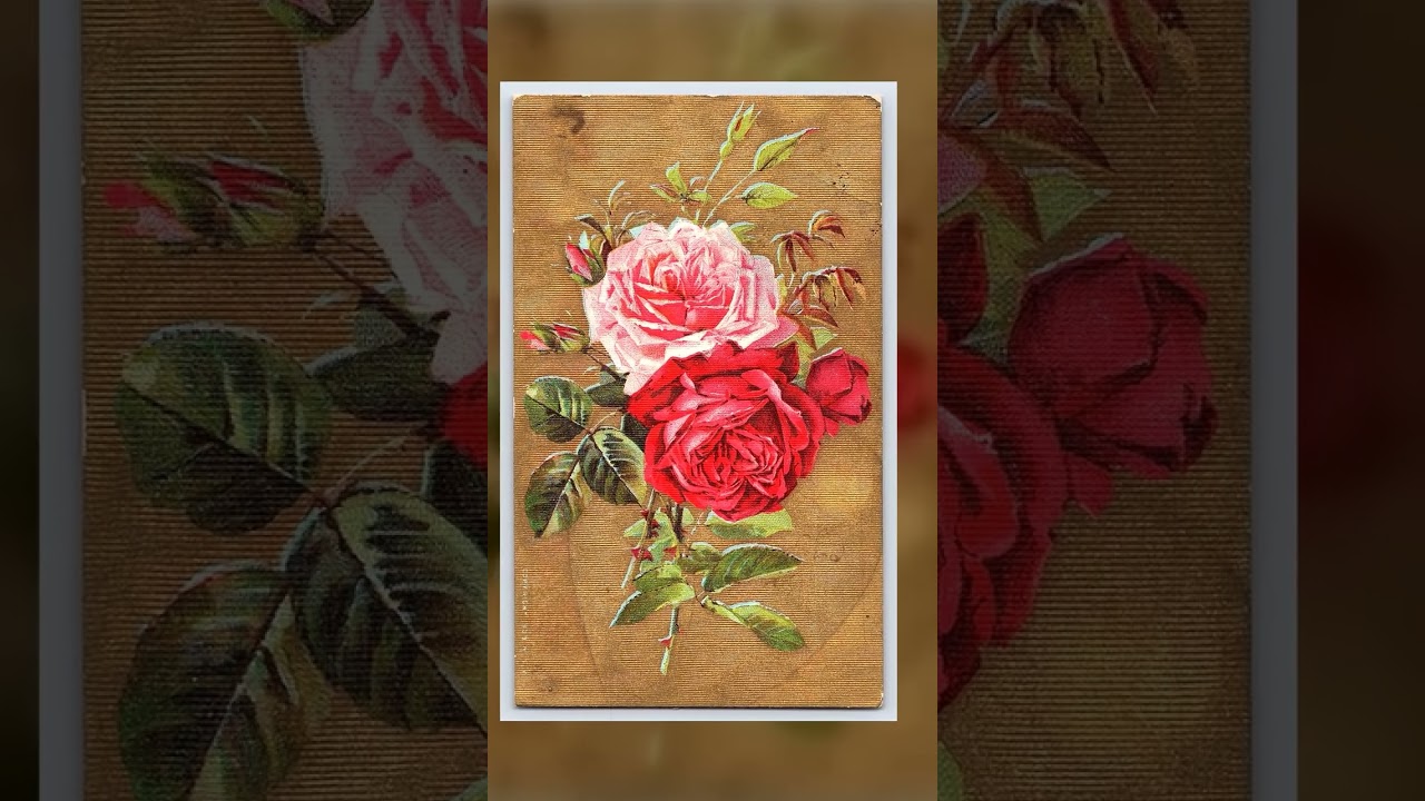 Linen Postcard, Roses Illustration, Early 20th Century Video