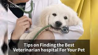 Tips on Finding the Best Veterinarian hospital For Your Pet