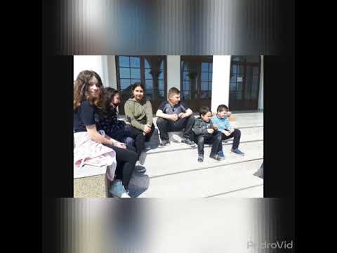 Din activitatile Bibliotecii Comunale Branistea, judet Dambovita