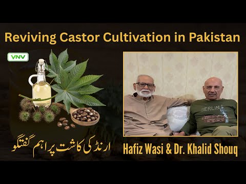 "The Veterinary News and Views (Weekly)"