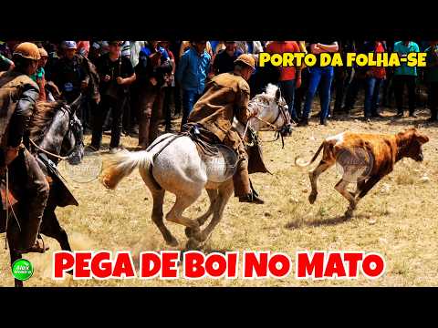 Pega de Boi no Mato na Vaquejada de Porto da Folha-SE