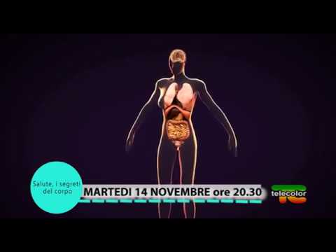 Osteoarthritis and Menopause Promotion with Professor Graziottin, November 14, 2017