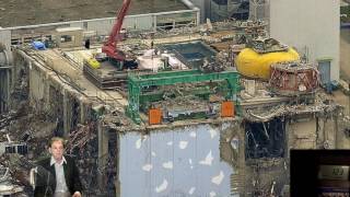 Fukushima How UK Professor Geraldine Thomas Perpetual Murder Machine