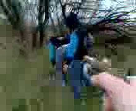 viedma-rio negro-ESFA Counter en el monte