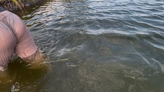 Download lagu Wandering around looking for shellfish in the brackish water swamp while waiting for the sunset mp3