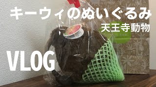 【VLOG】限定キーウィのぬいぐるみを手に入れた理由
