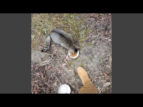 Throw My Body In The Trash