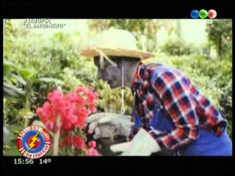 Tabu Peligro Sin Codificar   El Jardinero