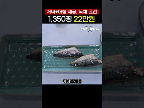 강진에서 경험하는 럭셔리 펜션 여행과 반값 혜택!