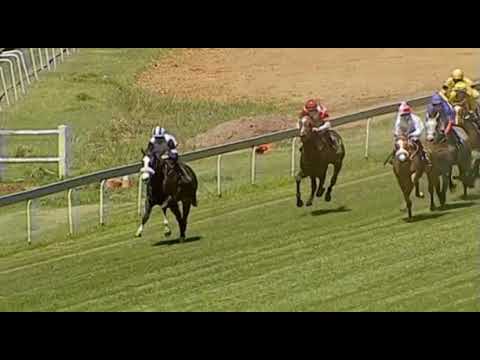 Dead Heat Race 3 Turffontein 7/11/20