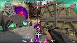 おねがいヴァンダル　レイナ　ACE