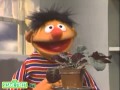 Sesame Street Little Plant Song With Ernie