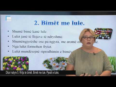 Dituri natyre 5 - Rritja te bimët. Bimët me lule. Pjesët e lules.