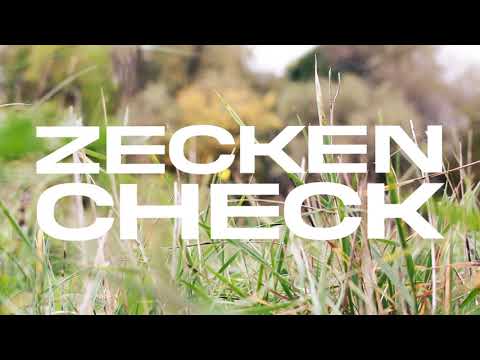DJ Hornhaut  - Seggenscheck (Lyric Video)