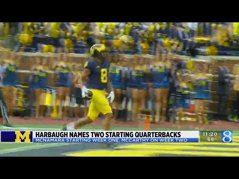 Harbaugh names two starting quarterbacks