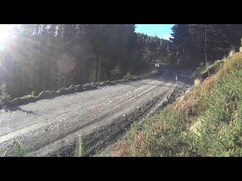 Wales Rally GB 2017 Thierry Neuville BIG MOMENT