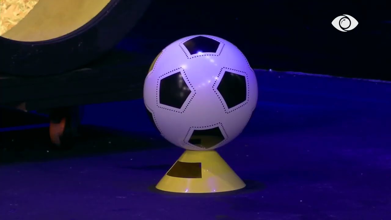 Momente argëtuese në shtëpi, banorët luajnë Jenga